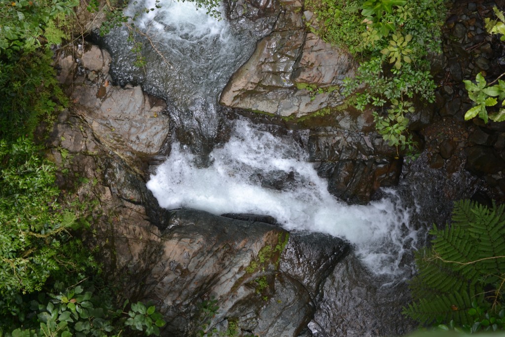 Foto: PÉREZ ZELEDÓN - Quebradas de Perez Zeledón (San José), Costa Rica