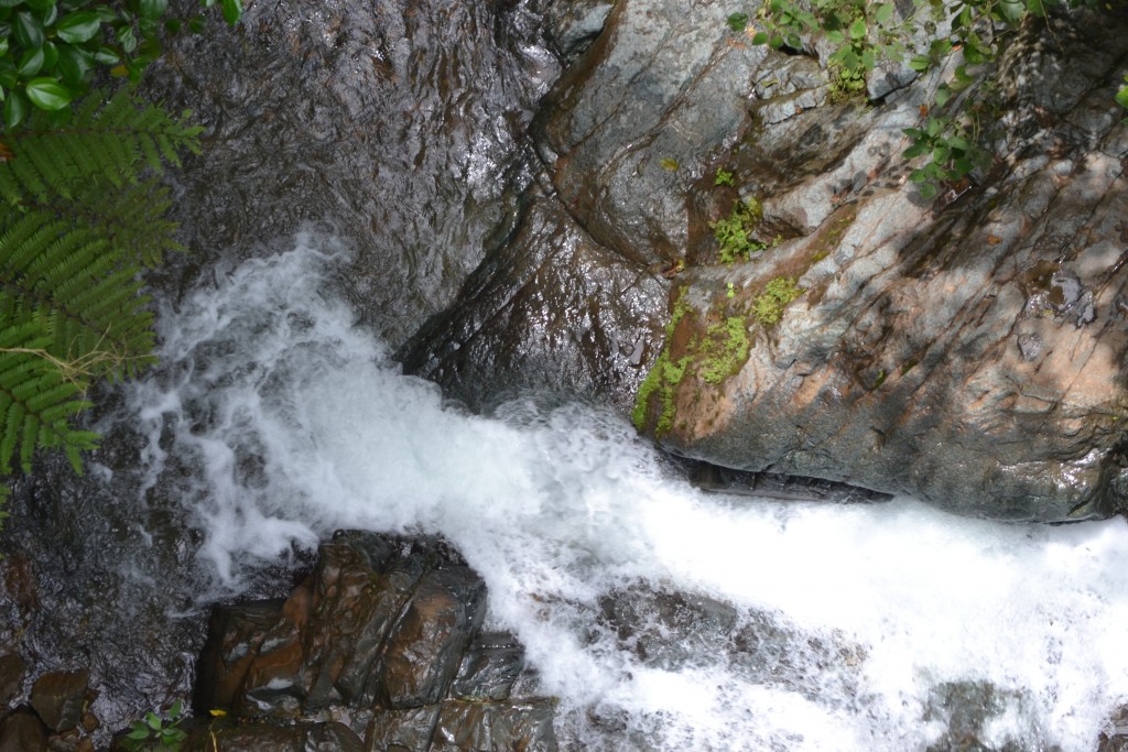 Foto: PÉREZ ZELEDÓN - Quebradas de Perez Zeledón (San José), Costa Rica