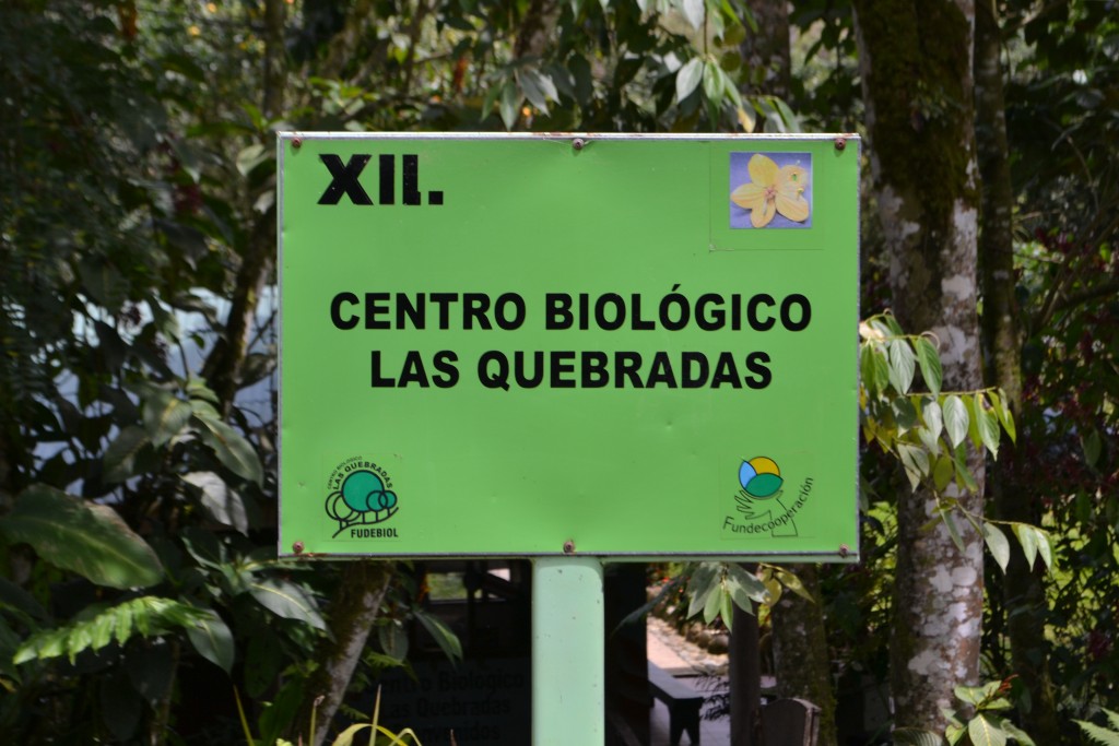Foto: Centro Biologico Las Quebradas - Las Quebradas de Pérez Zeledón (San José), Costa Rica