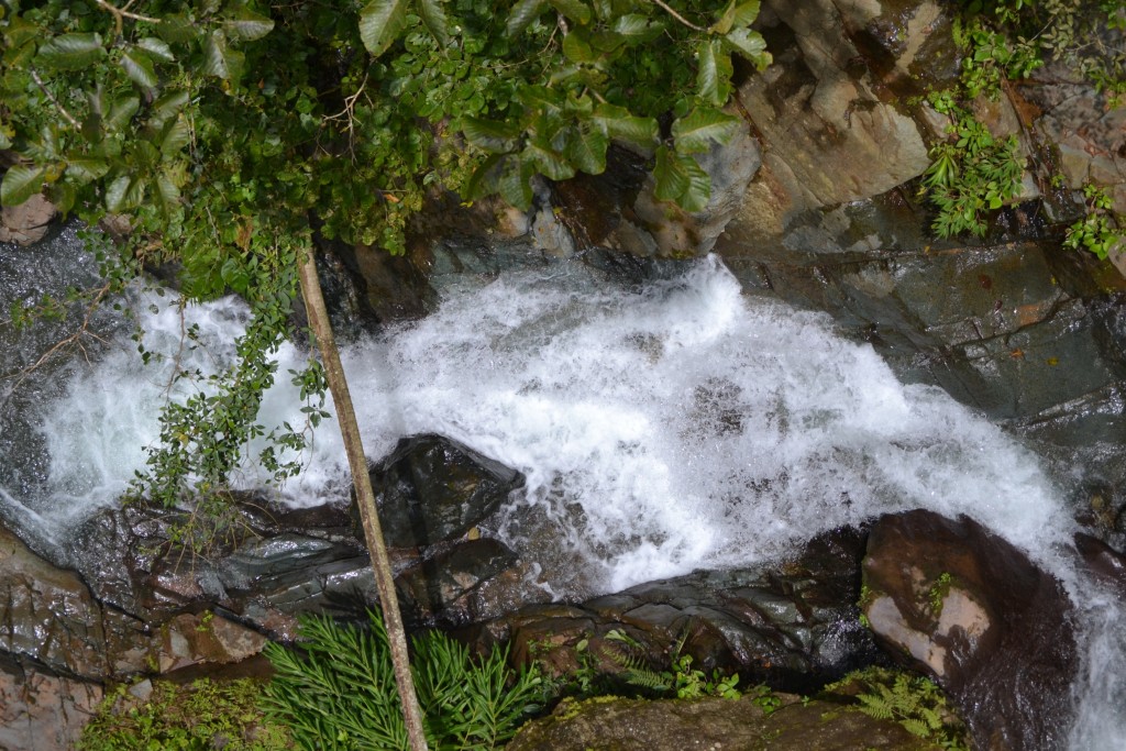 Foto: Centro Biologico Las Quebradas - Las Quebradas de Pérez Zeledón (San José), Costa Rica