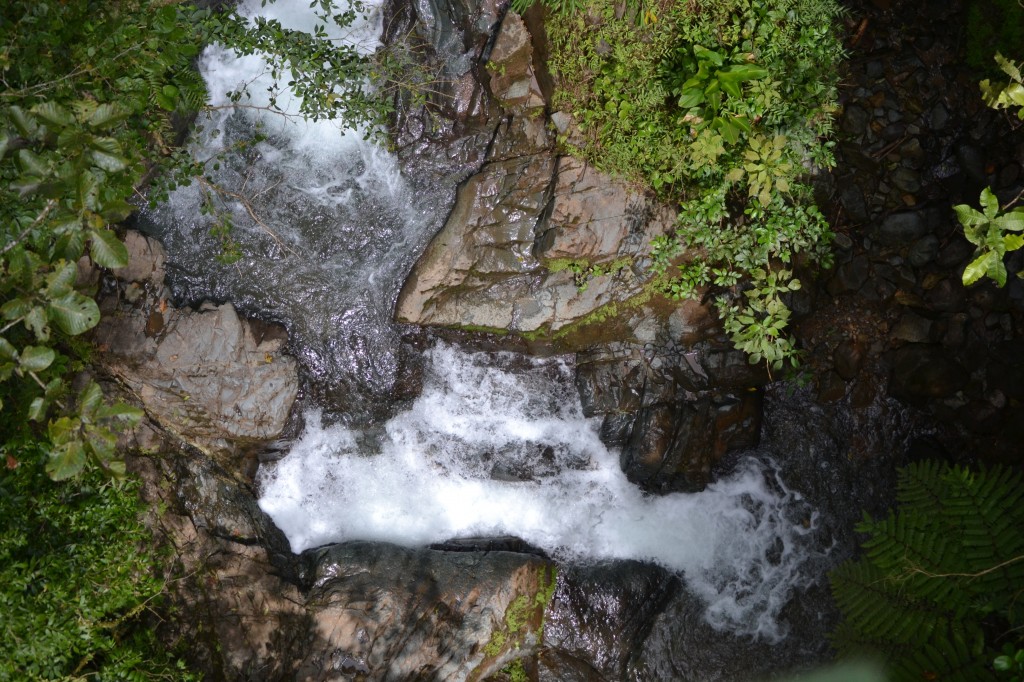 Foto: Centro Biologico Las Quebradas - Las Quebradas de Pérez Zeledón (San José), Costa Rica