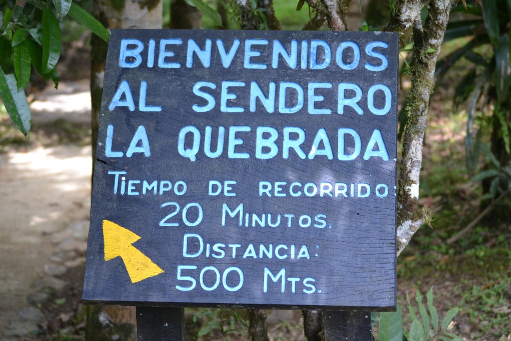 Foto: Centro Biologico Las Quebradas - Las Quebradas de Pérez Zeledón (San José), Costa Rica