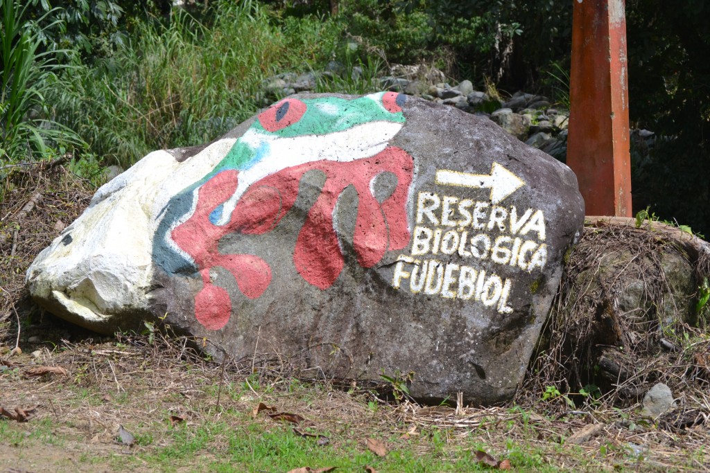 Foto: Centro biologico Las Quebradas - Las Quebradas de Pérez Zeledón (San José), Costa Rica