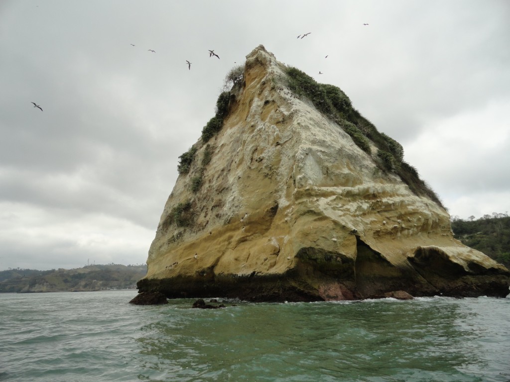 Foto: Roca de descanso de los piqueros - Atacames (Esmeraldas), Ecuador