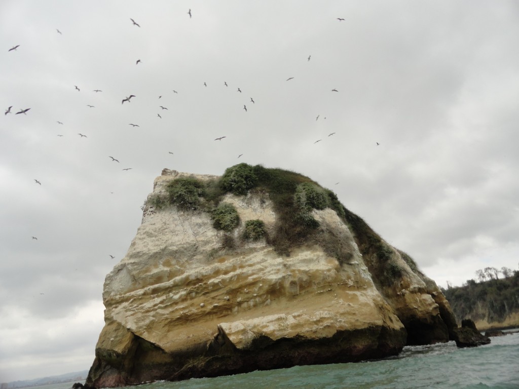 Foto: Roca de las aves - Atacames (Esmeraldas), Ecuador