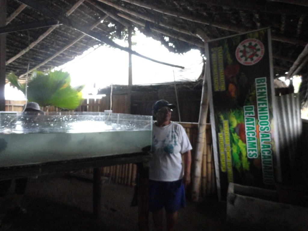 Foto: Acuario - Atacames (Esmeraldas), Ecuador