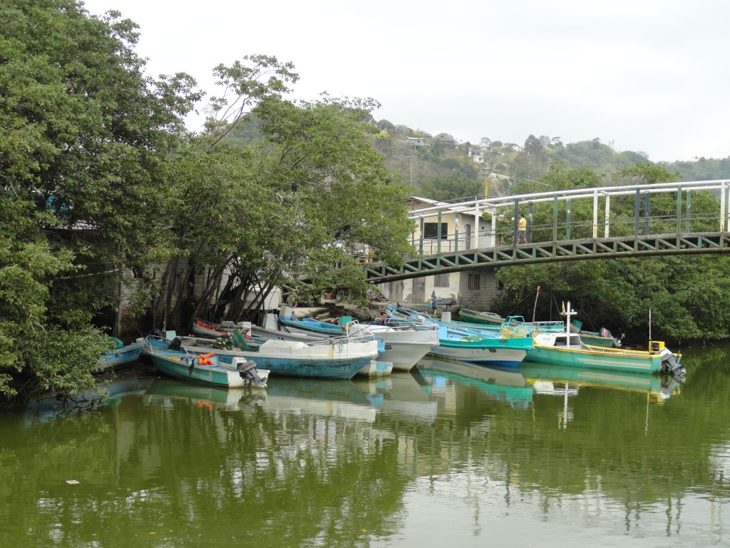Foto: pangas descansando - Atacames (Esmeraldas), Ecuador