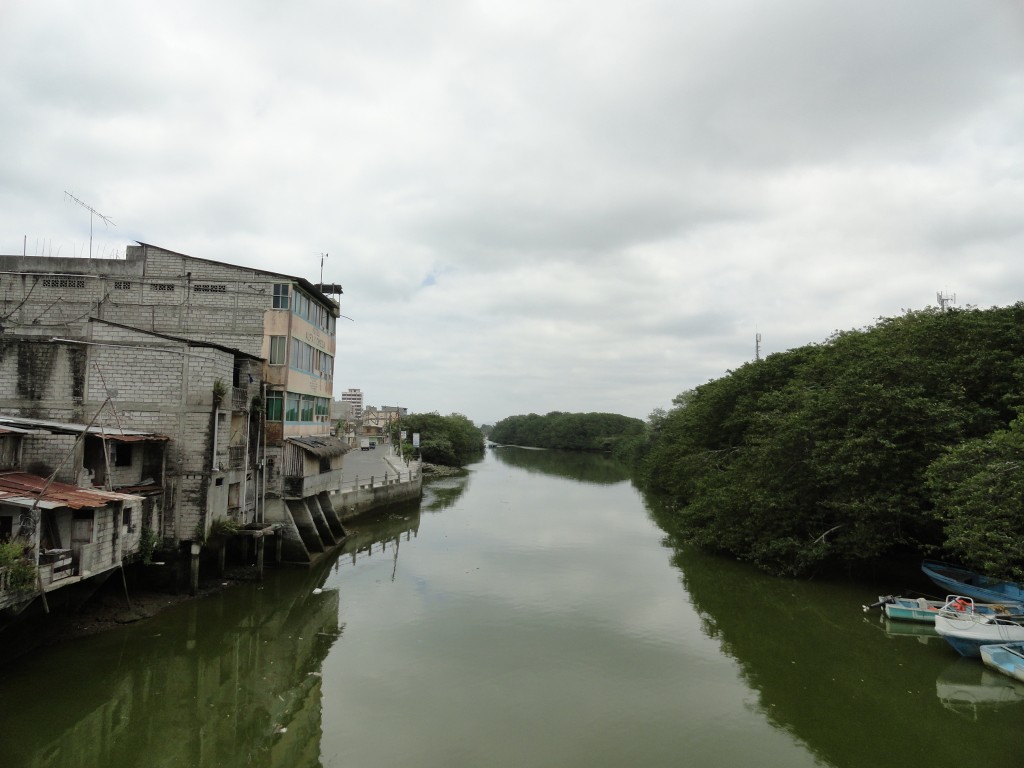 Foto: cuenca del rio - Atacames (Esmeraldas), Ecuador