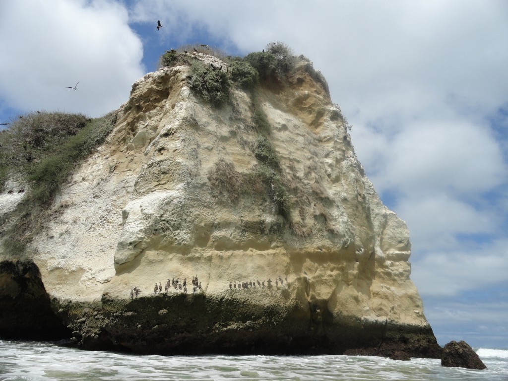 Foto: roca de descanso de loa piqueros - Atacames (Esmeraldas), Ecuador