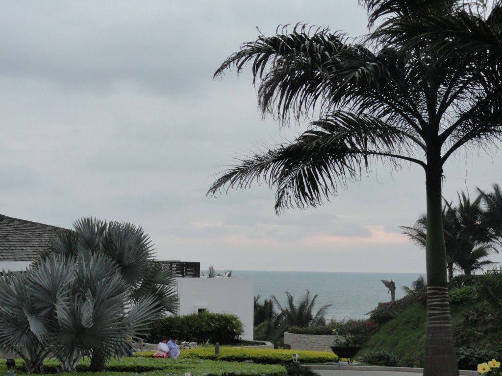 Foto: Palmeras - Mompiche (Esmeraldas), Ecuador