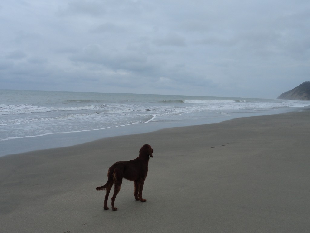 Foto: Playa - Atacames-Tonsupa (Esmeraldas), Ecuador
