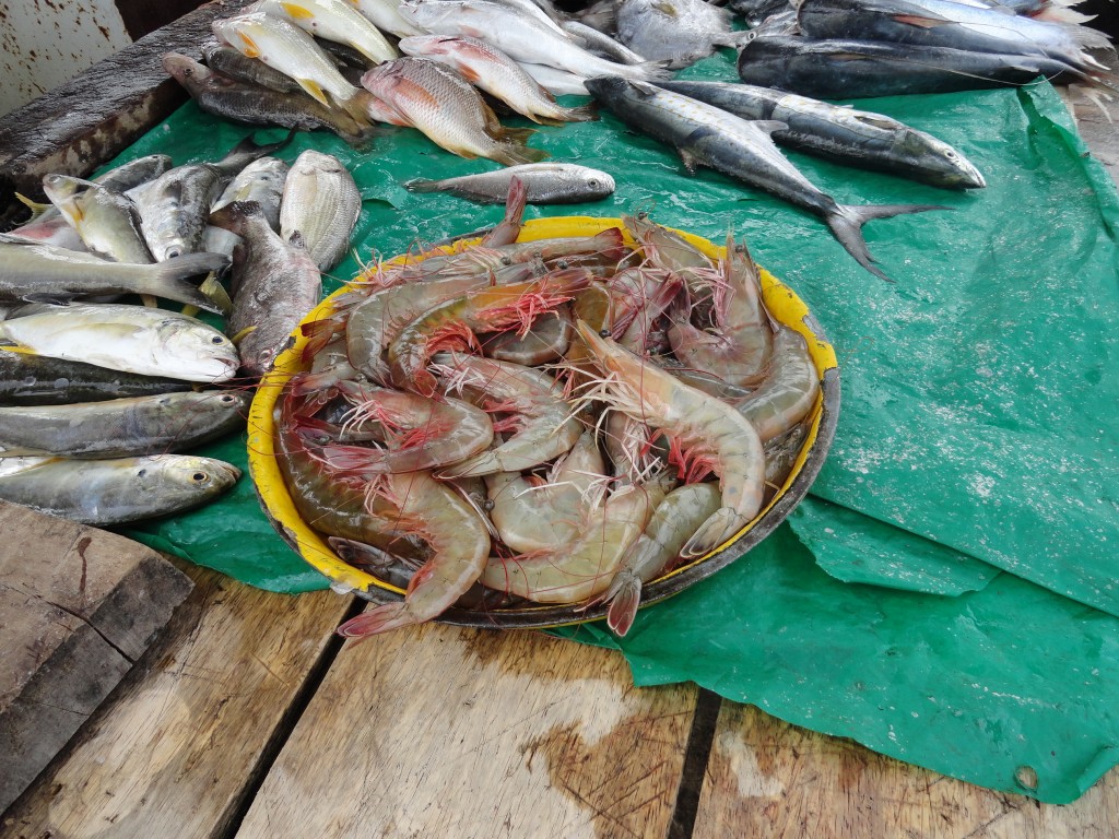 Foto: Puerto pesquero - Esmeraldas, Ecuador