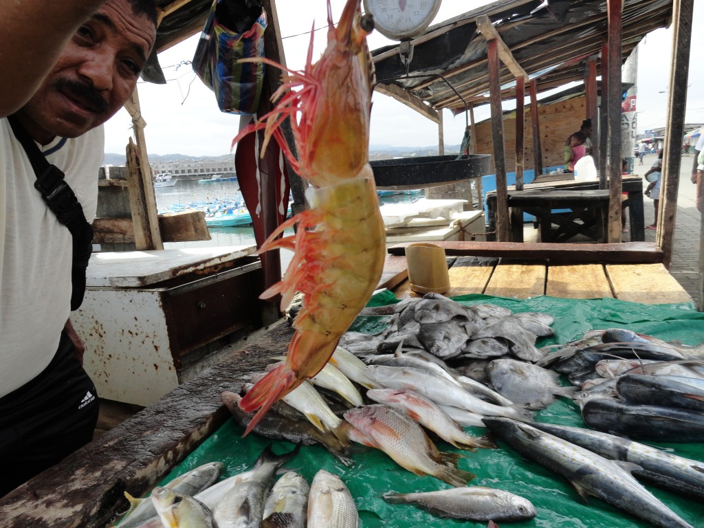 Foto: Puerto pesquero - Esmeraldas, Ecuador