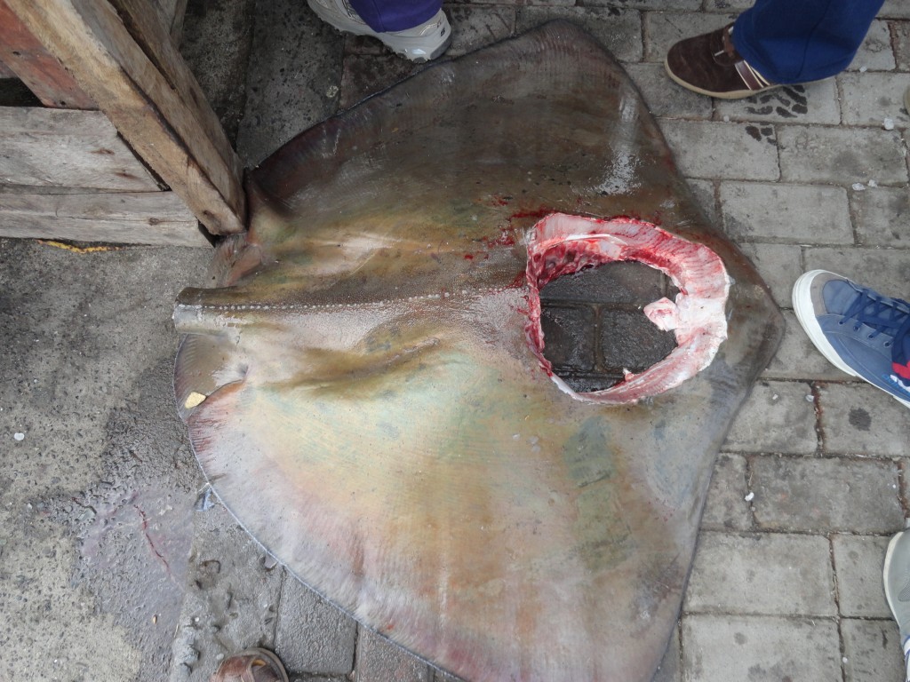 Foto: Mantaraya - Esmeraldas, Ecuador