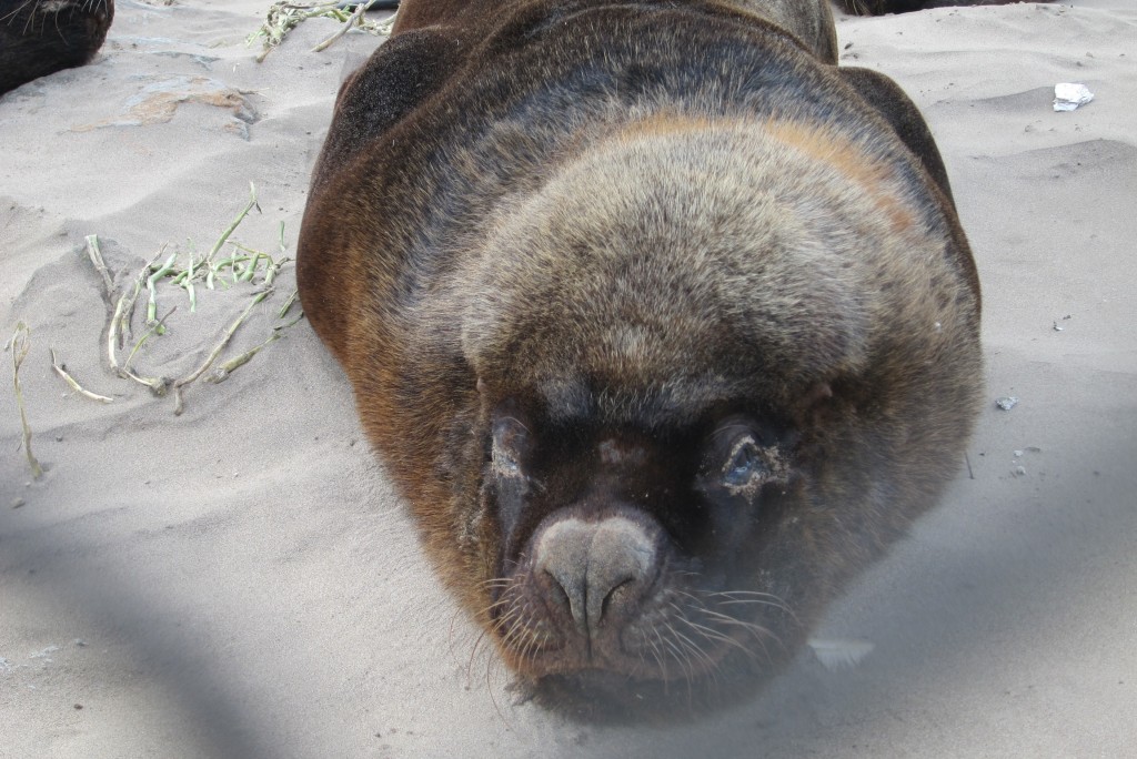 Foto: Puerto - Mar del Plata (Buenos Aires), Argentina