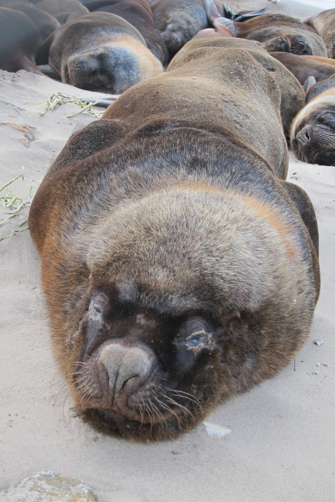 Foto: Puerto - Mar del Plata (Buenos Aires), Argentina