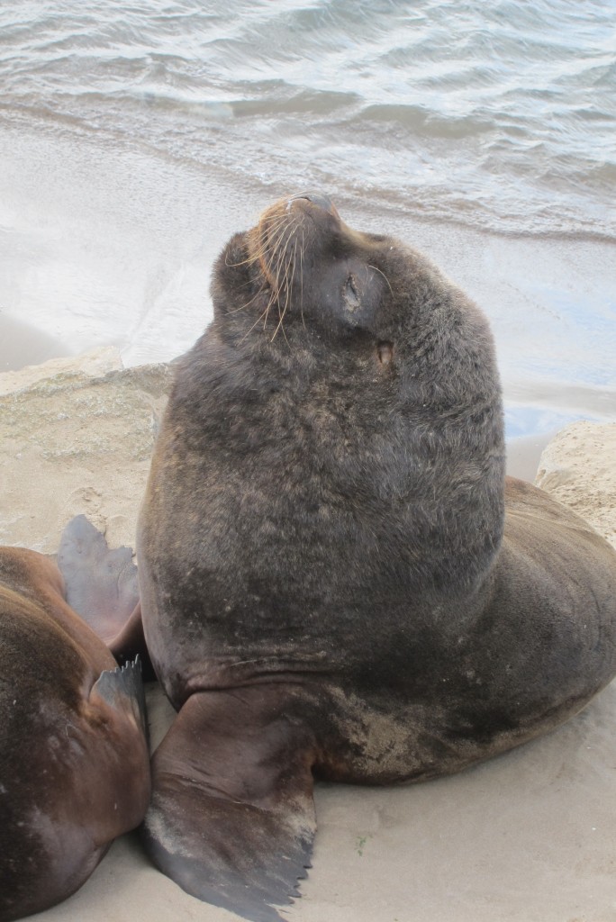 Foto: Puerto - Mar del Plata (Buenos Aires), Argentina