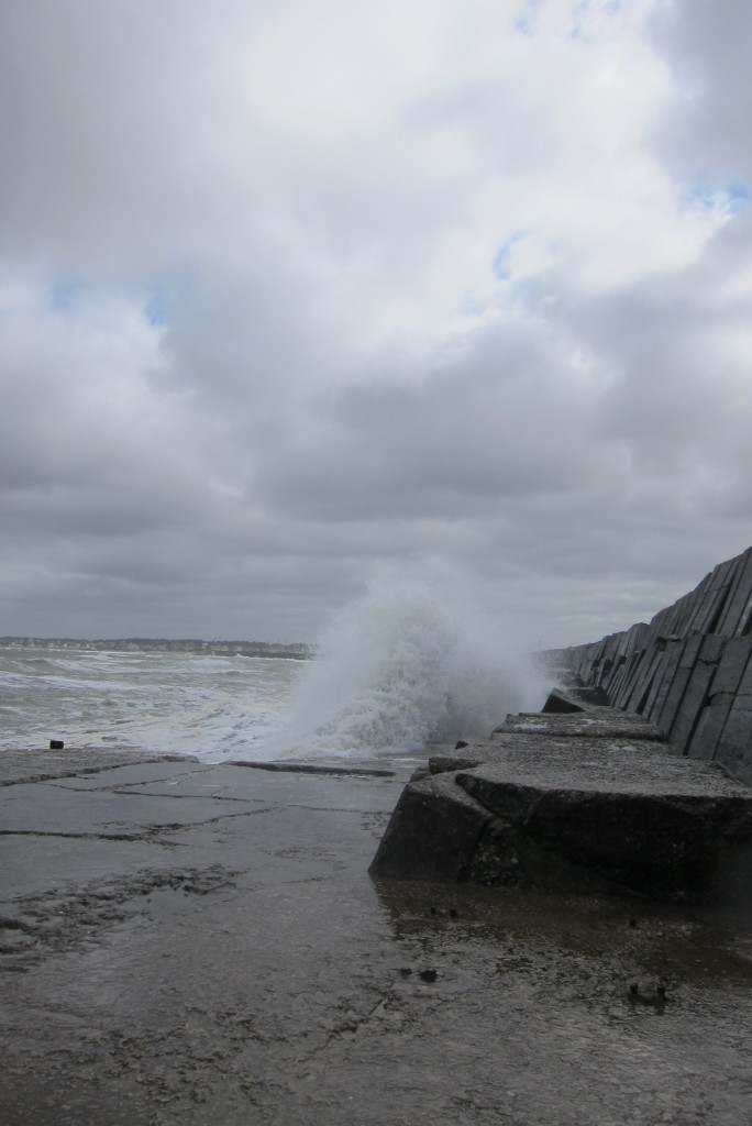 Foto: Puerto - Mar del Plata (Buenos Aires), Argentina