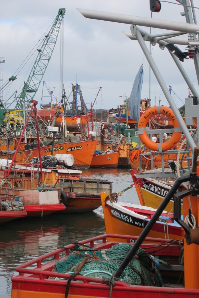 Foto: Puerto - Mar del Plata (Buenos Aires), Argentina