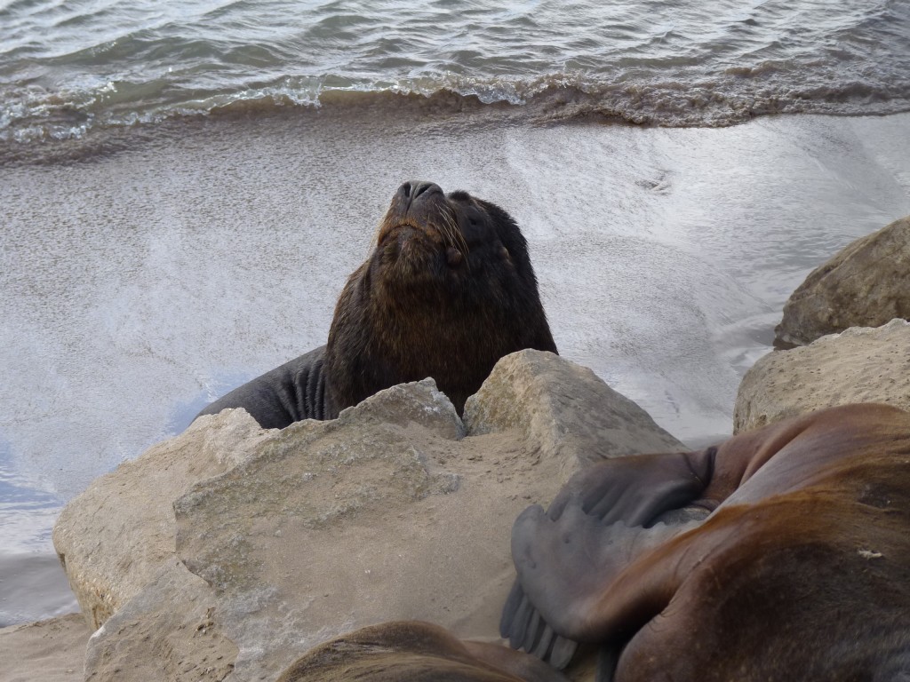 Foto: Puerto - Mar del Plata (Buenos Aires), Argentina