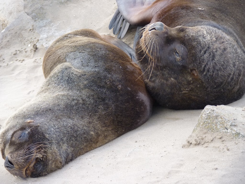 Foto: Puerto - Mar del Plata (Buenos Aires), Argentina