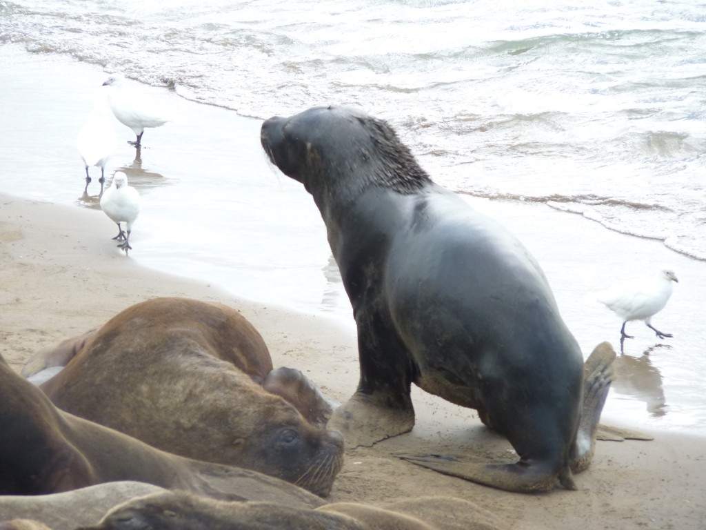 Foto: Puerto - Mar del Plata (Buenos Aires), Argentina