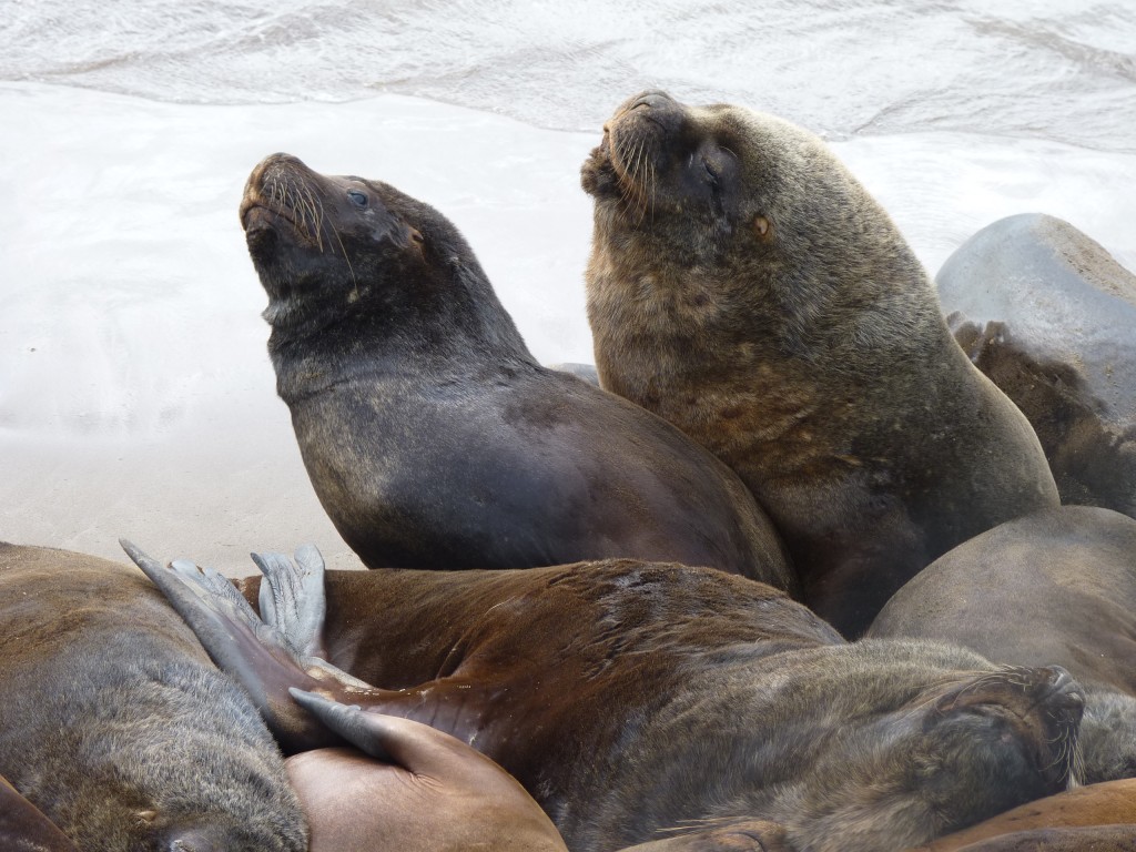 Foto: Puerto - Mar del Plata (Buenos Aires), Argentina