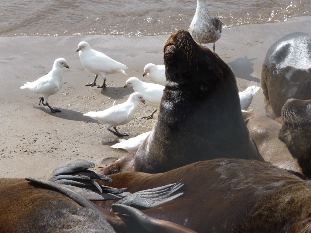 Foto: Puerto - Mar del Plata (Buenos Aires), Argentina
