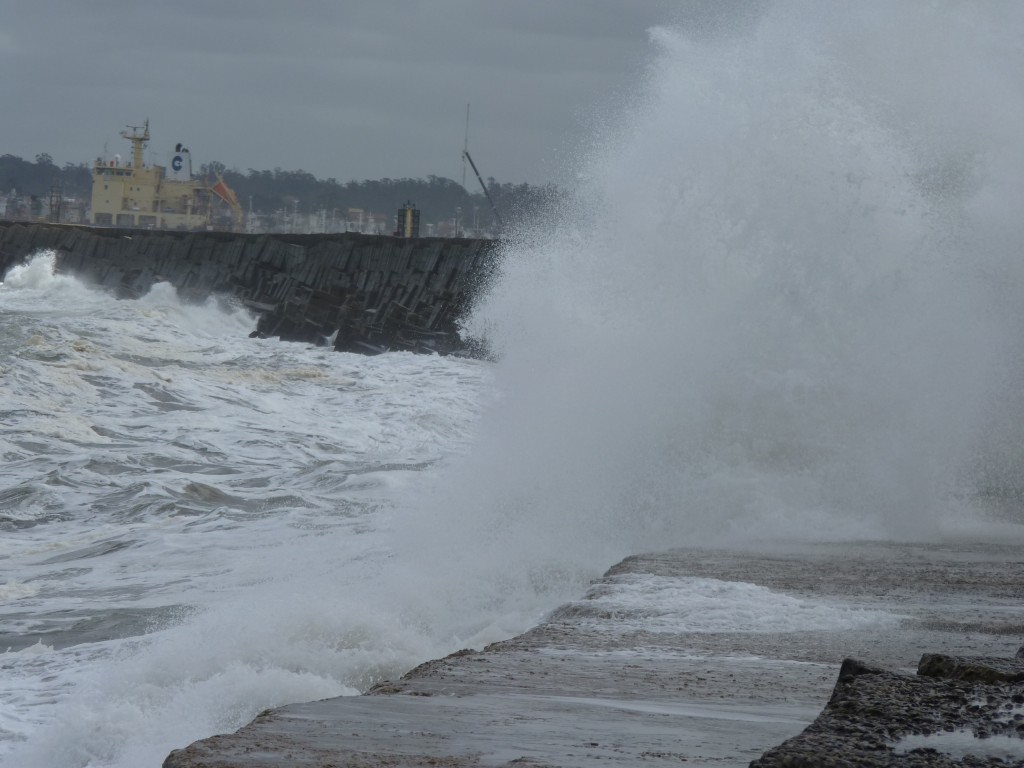 Foto: Puerto - Mar del Plata (Buenos Aires), Argentina