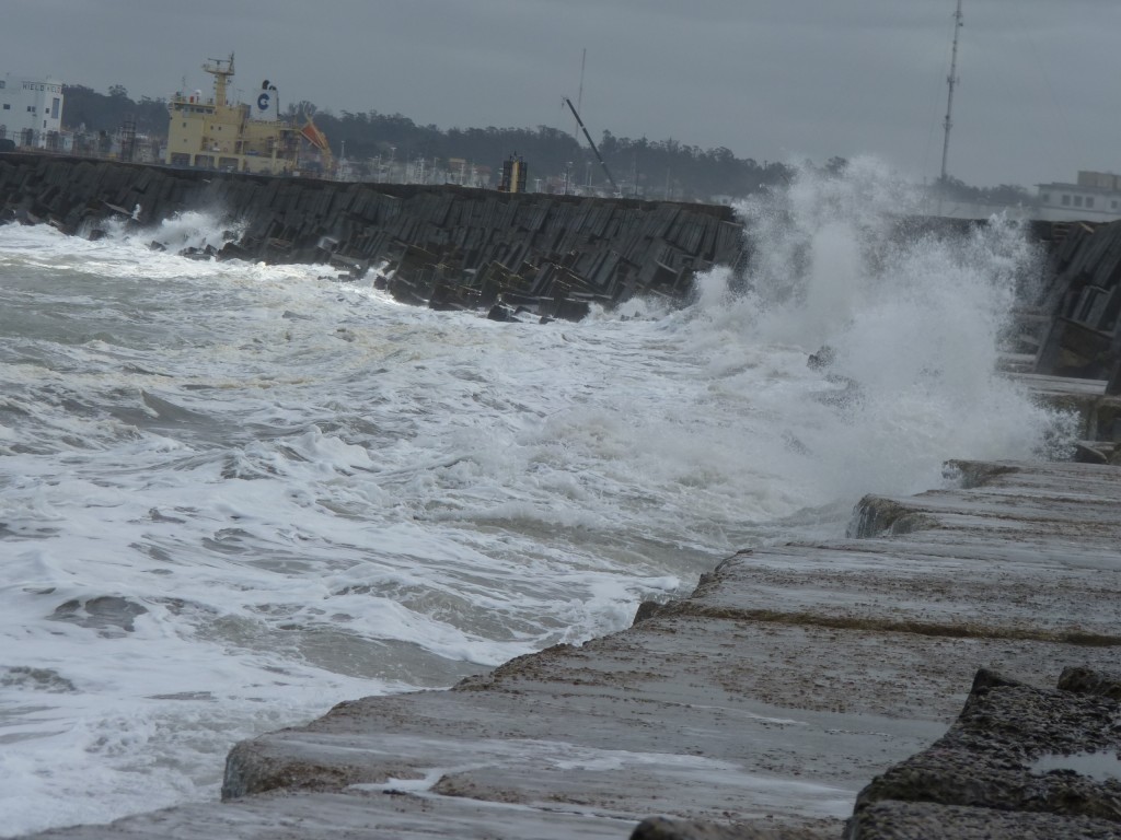 Foto: Puerto - Mar del Plata (Buenos Aires), Argentina