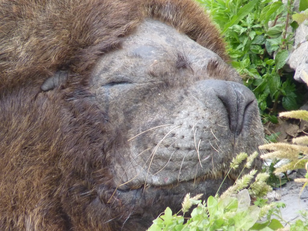 Foto: Puerto - Mar del Plata (Buenos Aires), Argentina