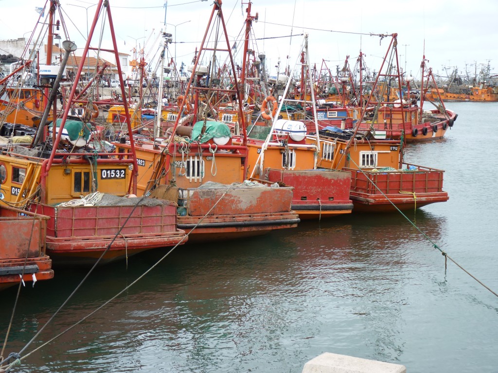Foto de Mar del Plata (Buenos Aires), Argentina