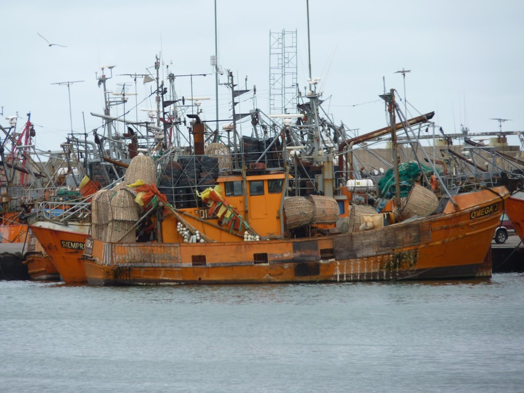 Foto: Puerto - Mar del Plata (Buenos Aires), Argentina