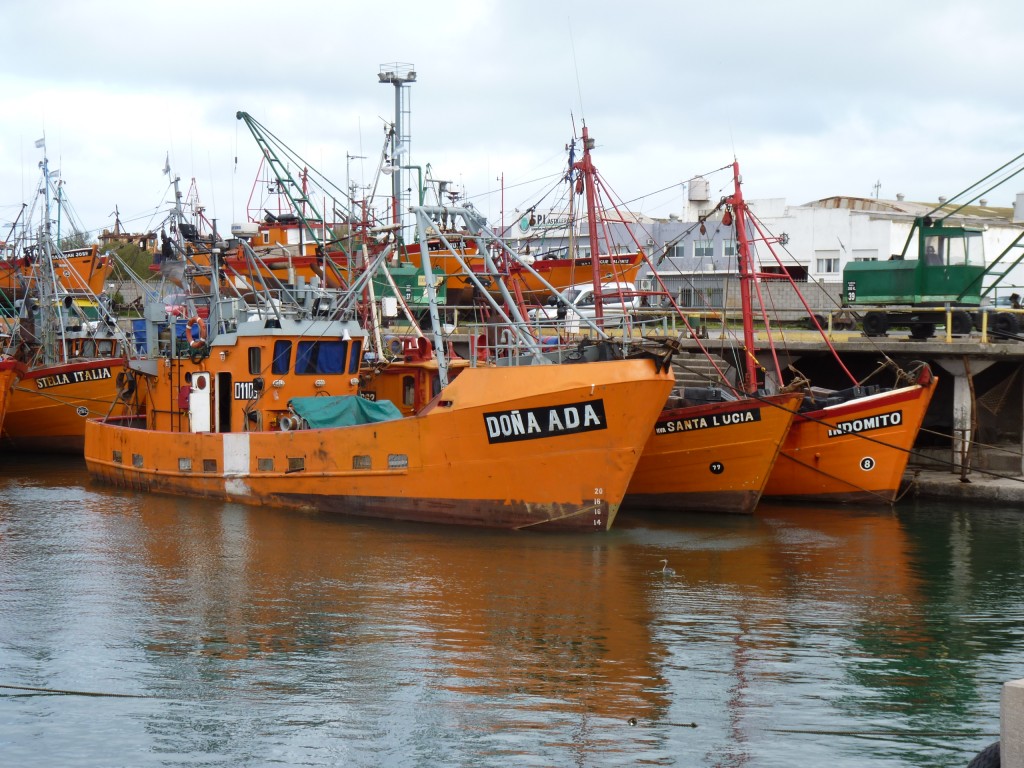 Foto: Puerto - Mar del Plata (Buenos Aires), Argentina