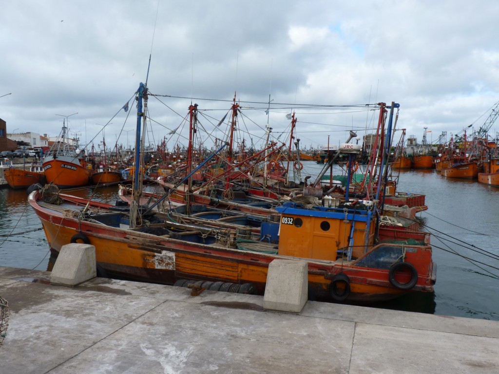Foto: Puerto - Mar del Plata (Buenos Aires), Argentina