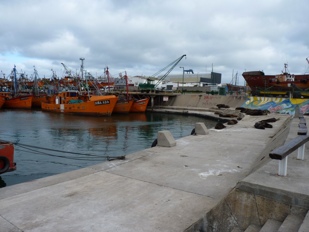 Foto: Puerto - Mar del Plata (Buenos Aires), Argentina