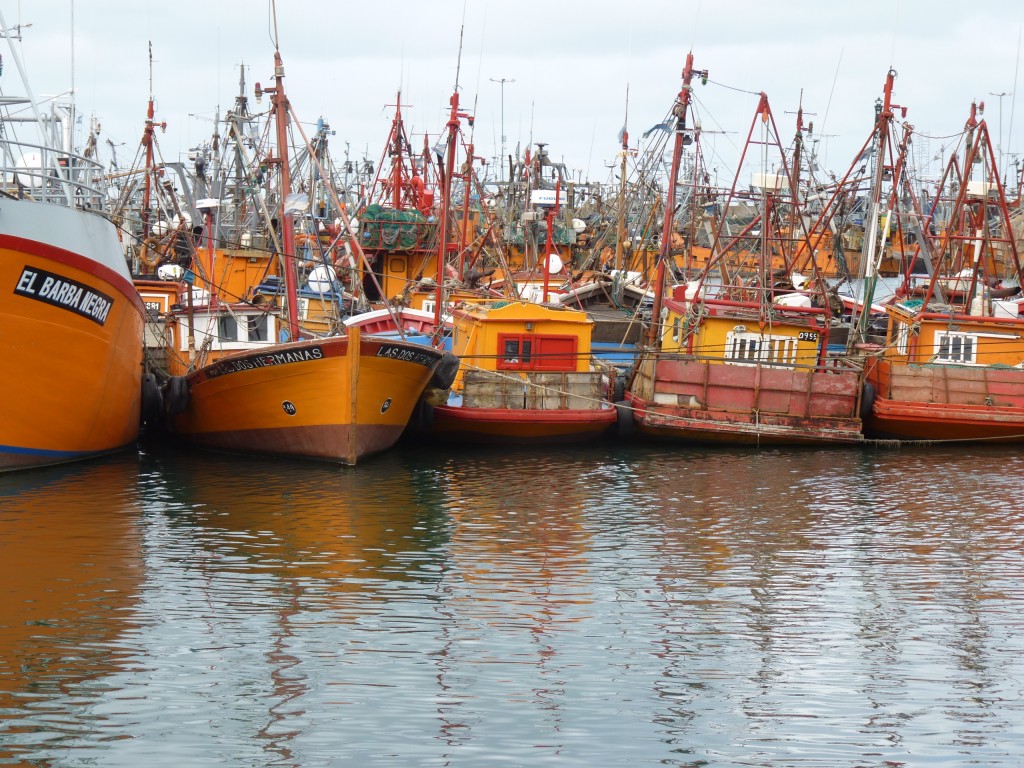 Foto: Puerto - Mar del Plata (Buenos Aires), Argentina