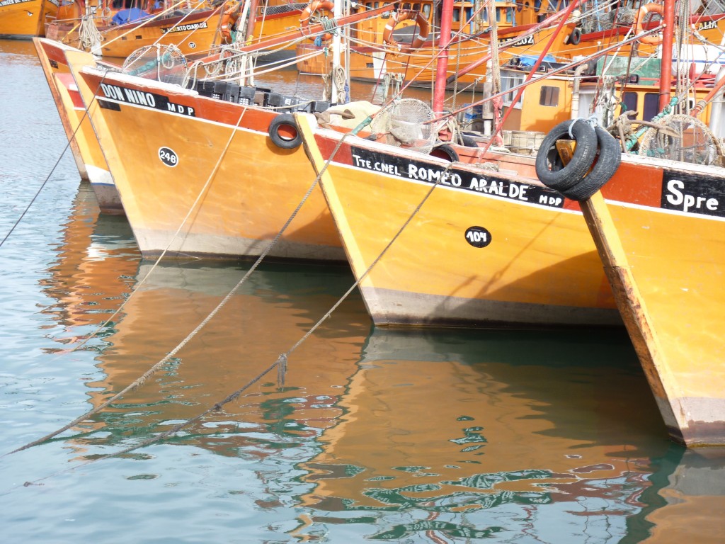 Foto: Puerto - Mar del Plata (Buenos Aires), Argentina