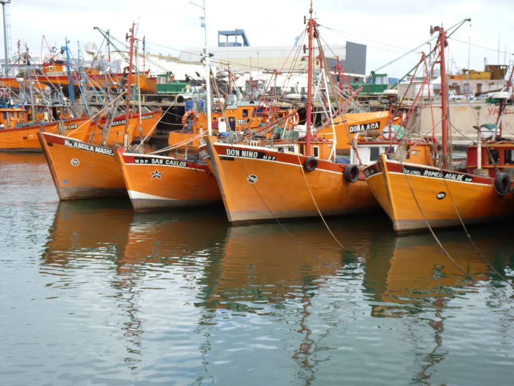 Foto: Puerto - Mar del Plata (Buenos Aires), Argentina