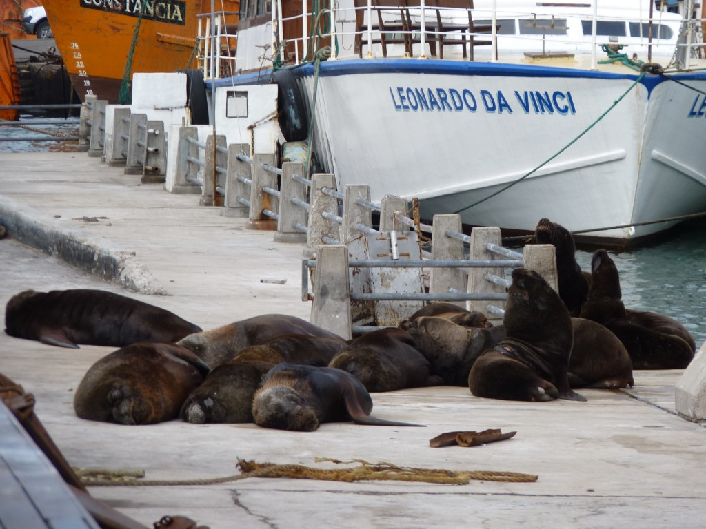Foto: Puerto - Mar del Plata (Buenos Aires), Argentina