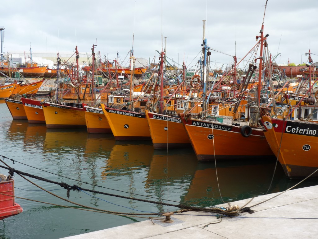 Foto: Puerto - Mar del Plata (Buenos Aires), Argentina