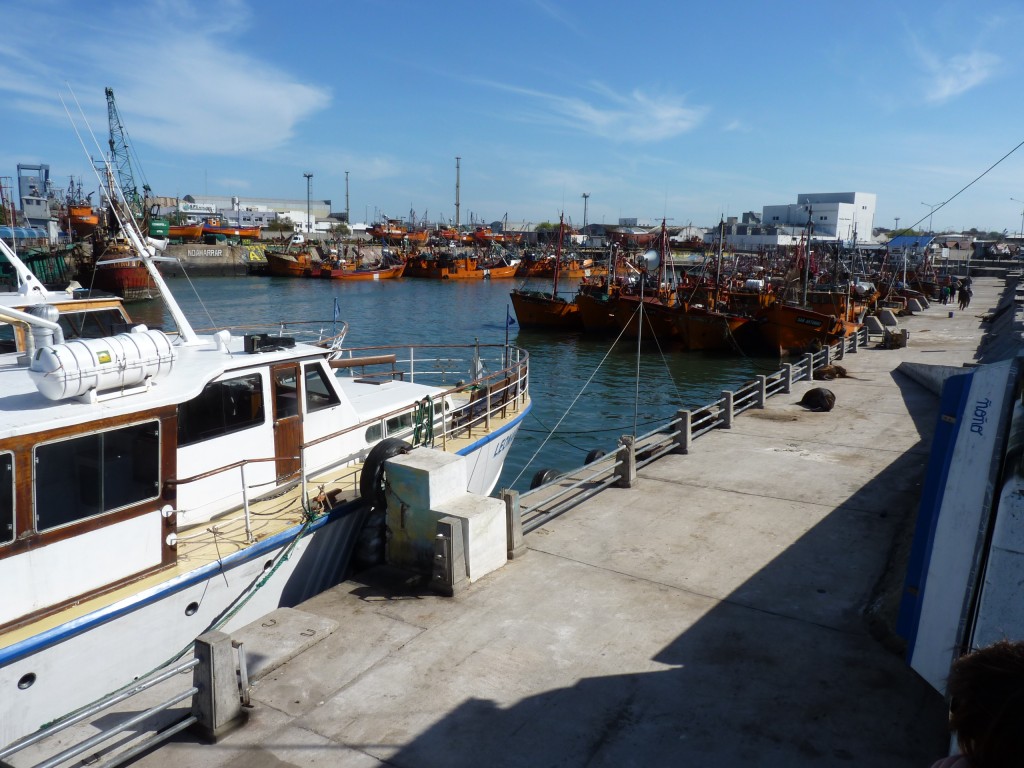 Foto: Puerto - Mar del Plata (Buenos Aires), Argentina