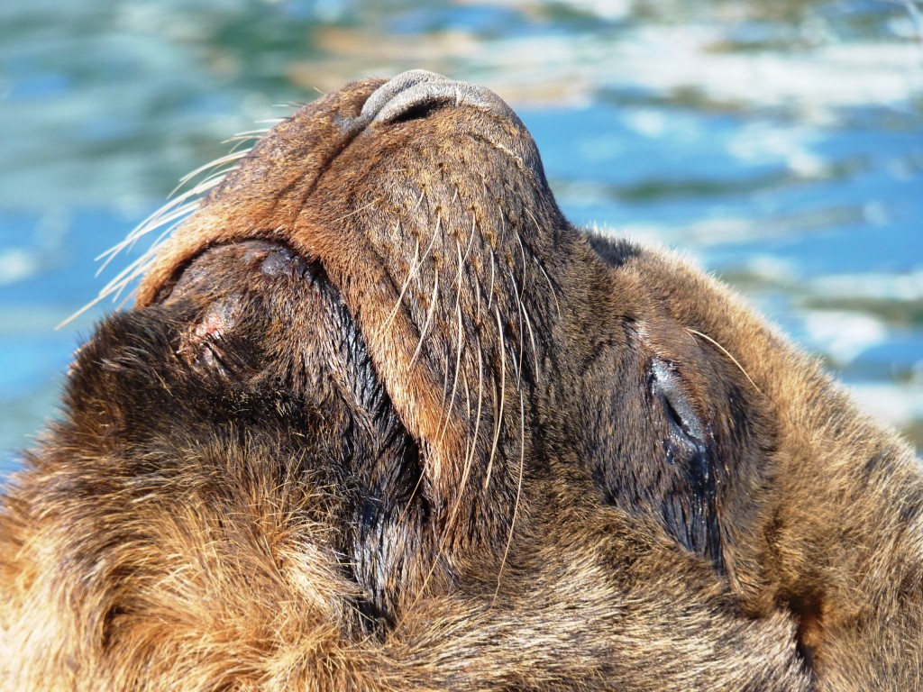 Foto: Puerto - Mar del Plata (Buenos Aires), Argentina