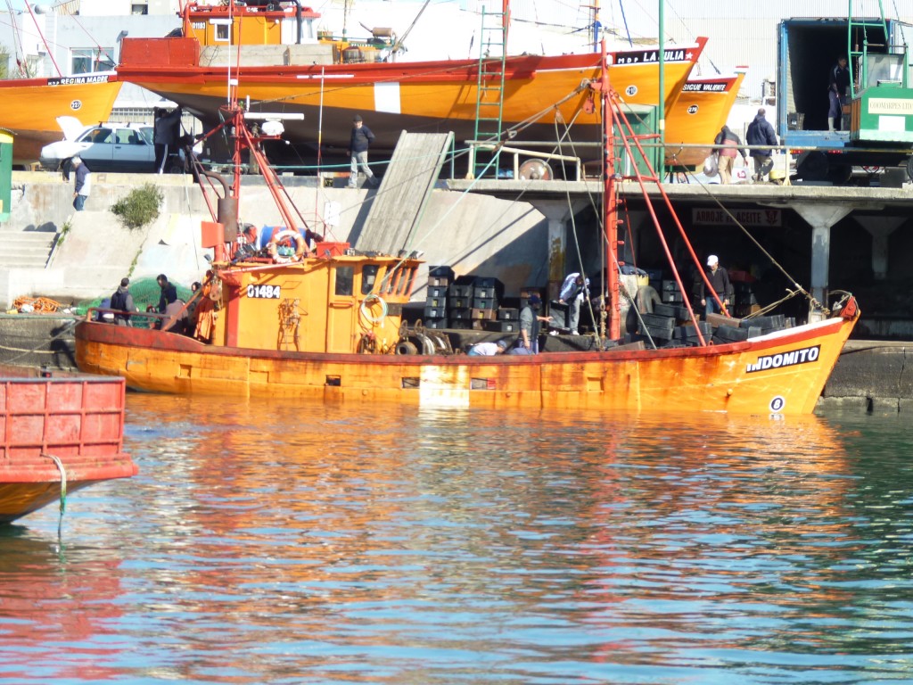 Foto: Puerto - Mar del Plata (Buenos Aires), Argentina