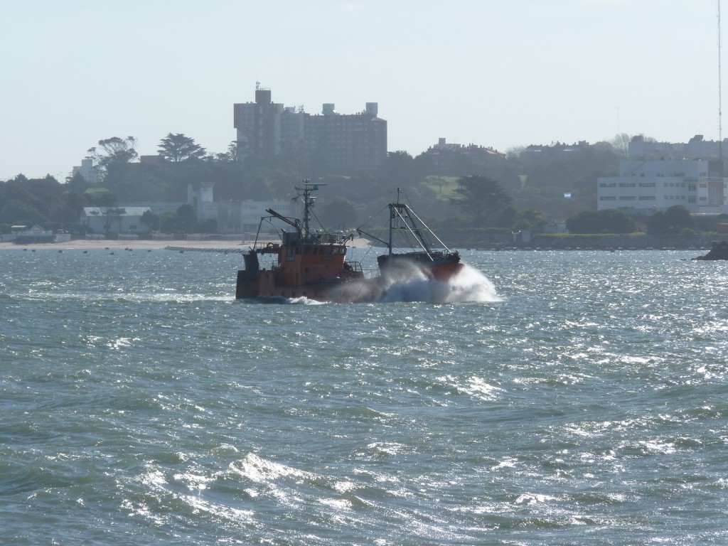 Foto: Puerto - Mar del Plata (Buenos Aires), Argentina