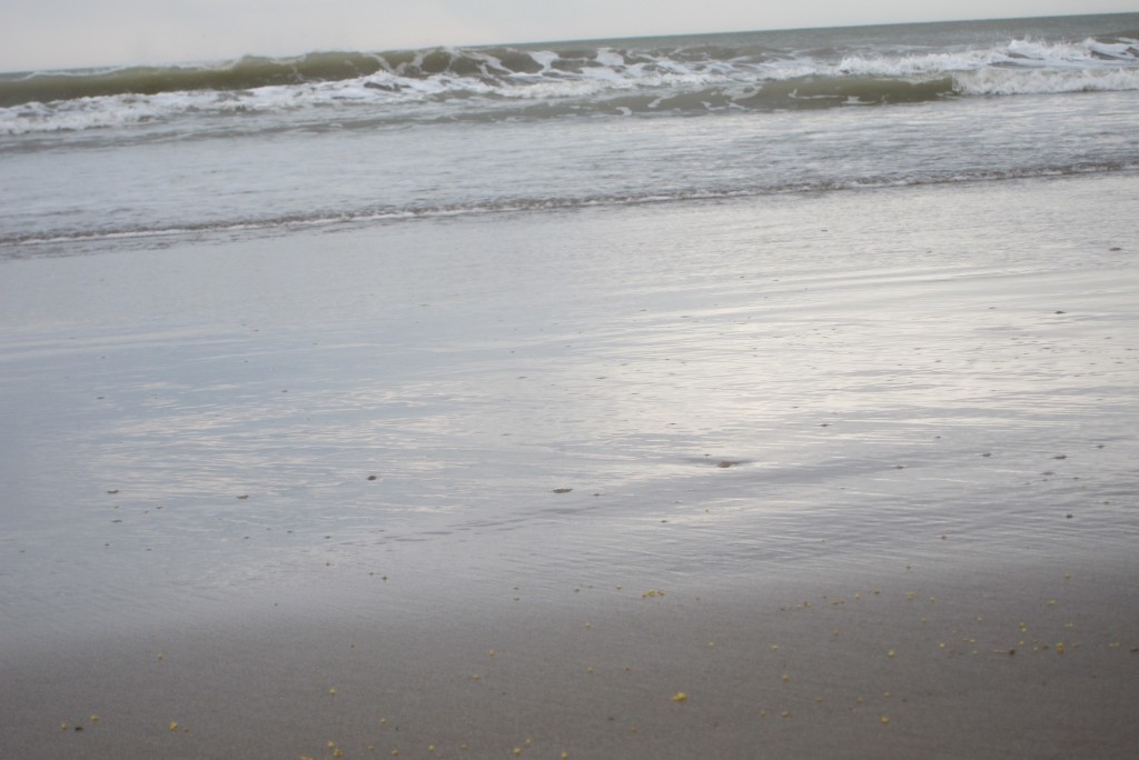 Foto: Playa - Mar Chiquita (Buenos Aires), Argentina