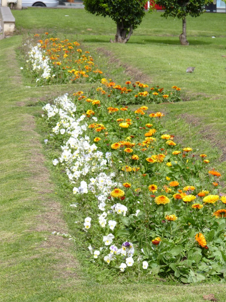 Foto: Plaza Colón - Mar del Plata (Buenos Aires), Argentina