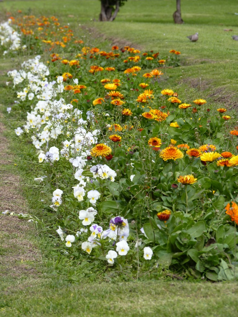 Foto: Plaza Colón - Mar del Plata (Buenos Aires), Argentina