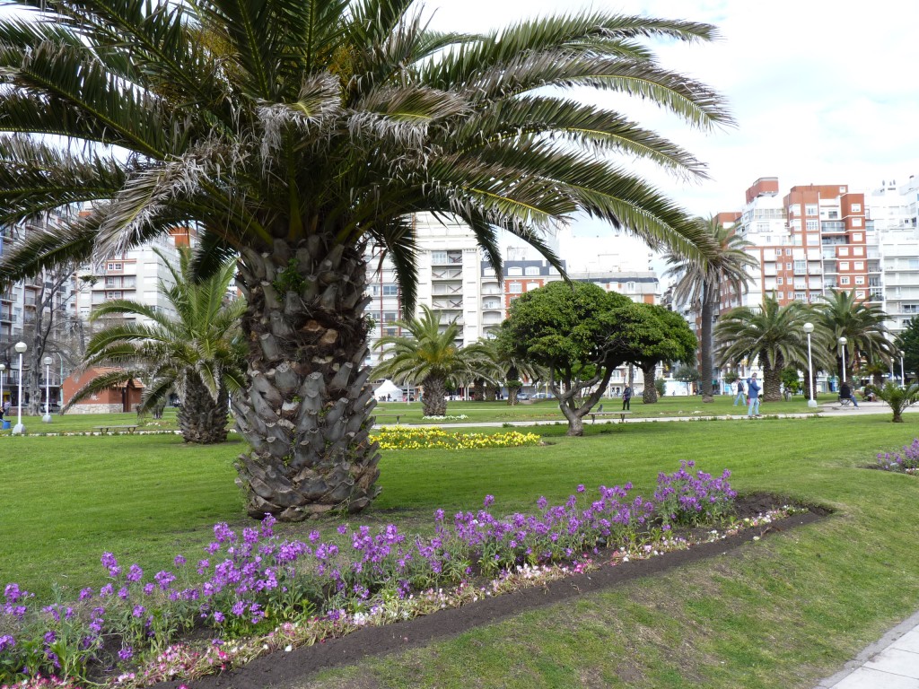 Foto: Plaza Colón - Mar del Plata (Buenos Aires), Argentina