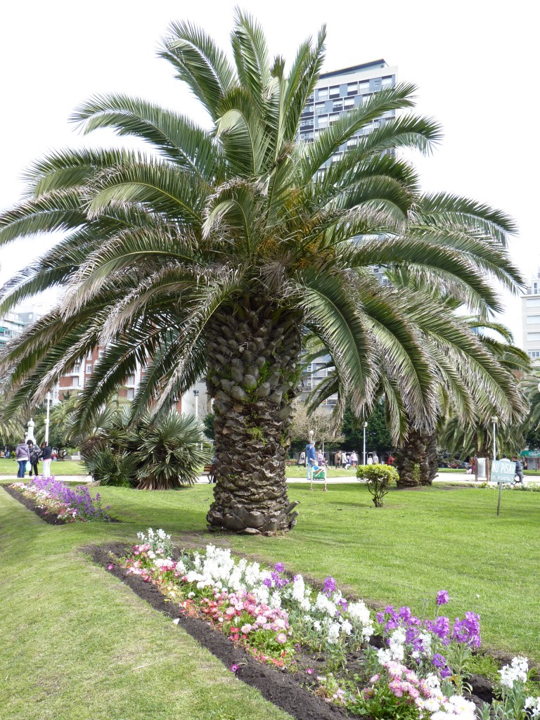 Foto: Plaza Colón - Mar del Plata (Buenos Aires), Argentina